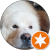 Georges V profile picture