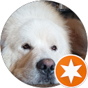 Georges V profile picture